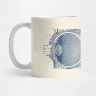 Unlabeled Eye Anatomy Diagram - Vintage Anatomy Mug